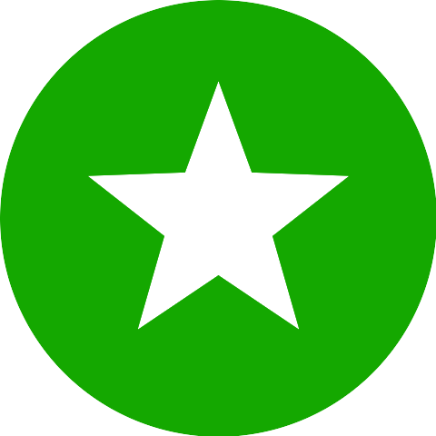 SaaS Founder
